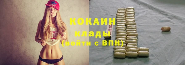 марки nbome Ельня